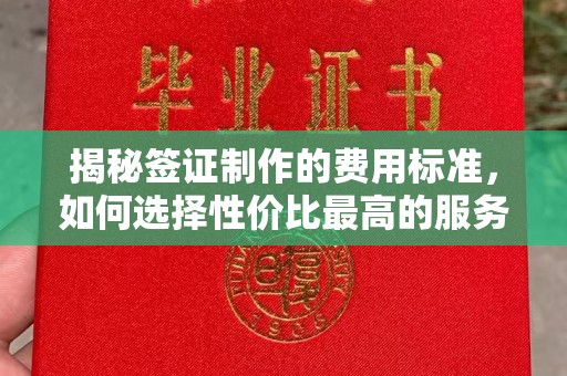 莱阳揭秘签证制作的费用标准，如何选择性价比最高的服务？