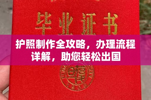 莱阳护照制作全攻略，办理流程详解，助您轻松出国