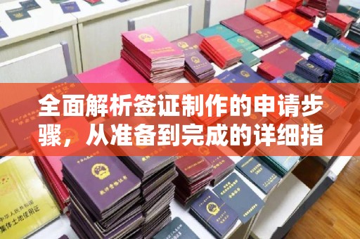 莱阳全面解析签证制作的申请步骤，从准备到完成的详细指南